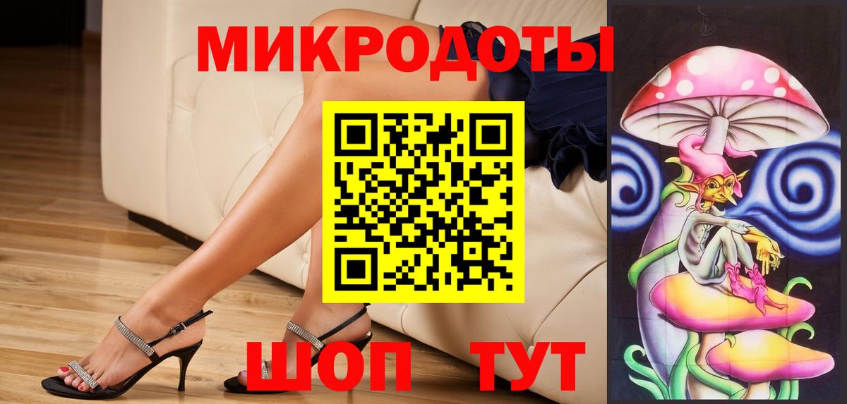 Галлюциногенные грибы Psilocybe Кубинка